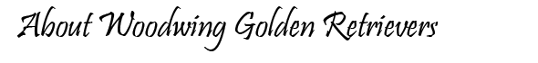 About Woodwing Golden Retrievers